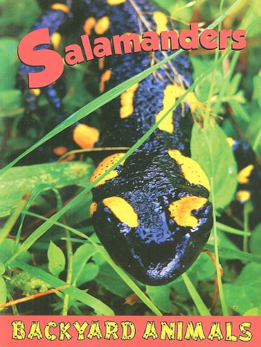 Stock image for Salamanders (Backyard Animals) Winnick, Nick for sale by Hay-on-Wye Booksellers