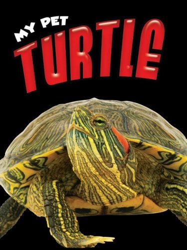 Beispielbild fr Turtle zum Verkauf von Better World Books