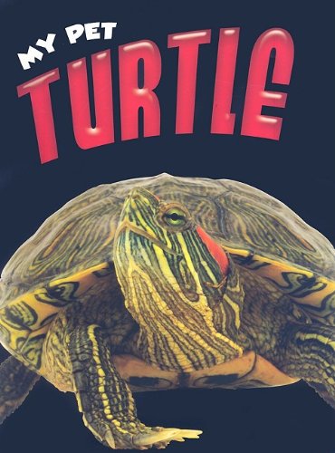 Beispielbild fr Turtle zum Verkauf von ThriftBooks-Dallas