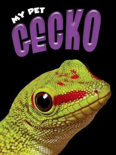 Beispielbild fr Gecko (My Pet) zum Verkauf von Ergodebooks