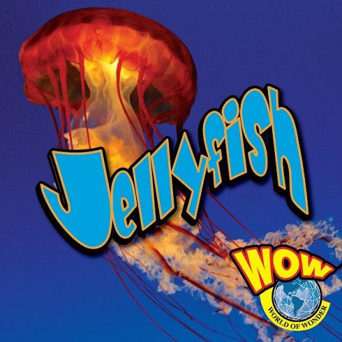 9781605961002: Jellyfish (WOW World of Wonder)