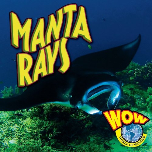 Beispielbild fr Manta Rays (World of Wonder (Weigl Hardcover)) zum Verkauf von Ergodebooks