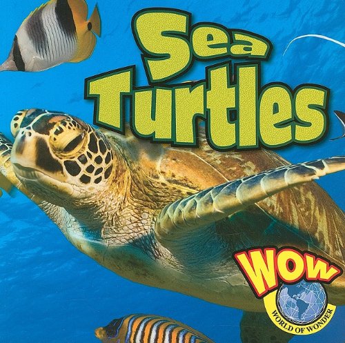 9781605961071: Sea Turtles (WOW World of Wonder)