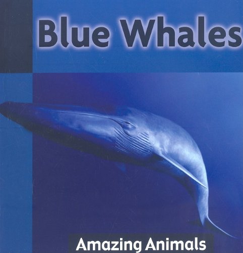 Imagen de archivo de Blue Whales (Amazing Animals) a la venta por Half Price Books Inc.