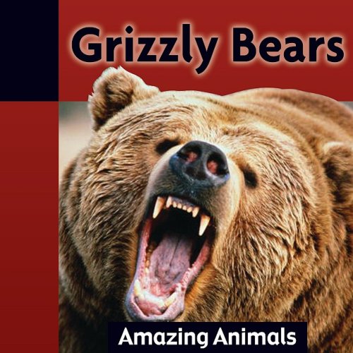 Grizzly Bears (Amazing Animals) (9781605961583) by Dineen, Jacqueline