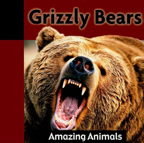 Imagen de archivo de Grizzly Bears a la venta por Better World Books