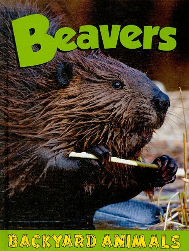 9781605968773: Beavers (Backyard Animals)