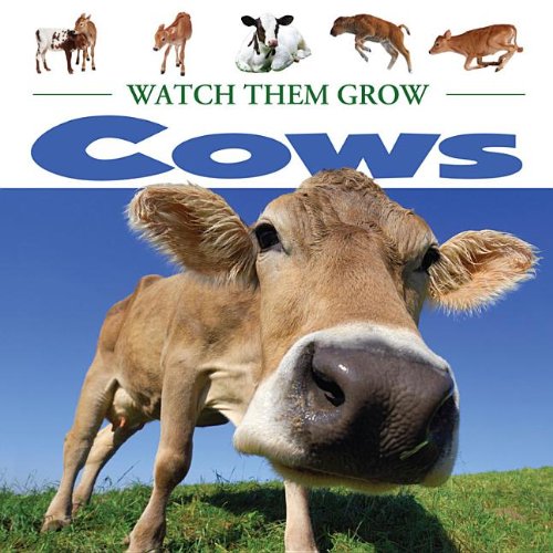 9781605969190: Cows
