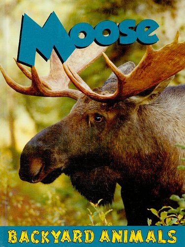 9781605969466: Moose (Backyard Animals)