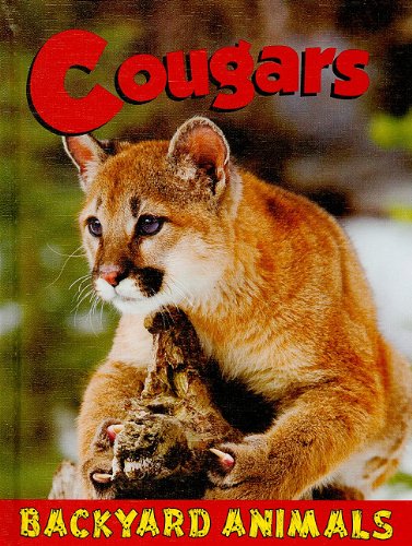 Imagen de archivo de Cougars (Backyard Animals) a la venta por Ergodebooks