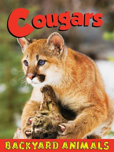 Stock image for Cougars (Backyard Animals) for sale by Bookmans