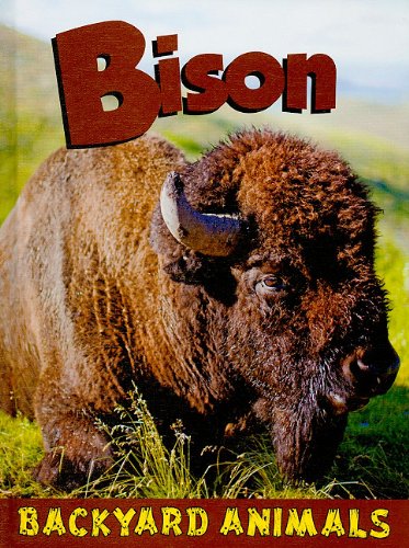 Imagen de archivo de Bison a la venta por Better World Books