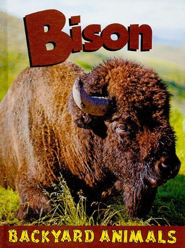 Stock image for Bison for sale by Better World Books