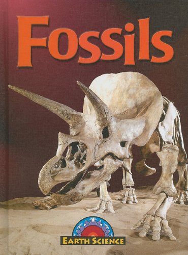 Fossils - Lappi, Megan