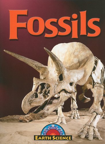Imagen de archivo de Fossils (Earth Science) Lappi, Megan a la venta por Hay-on-Wye Booksellers