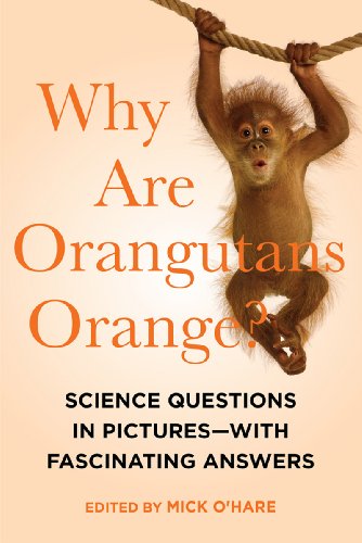 Beispielbild fr Why Are Orangutans Orange? zum Verkauf von Better World Books