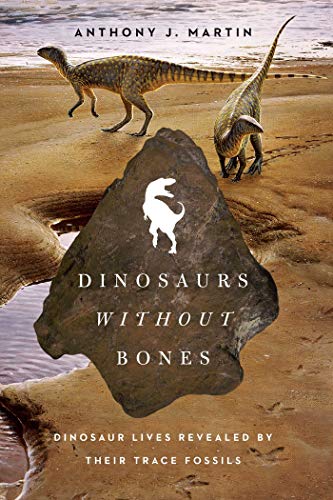 Imagen de archivo de Dinosaurs Without Bones: Dinosaur Lives Revealed by their Trace Fossils a la venta por HPB-Ruby