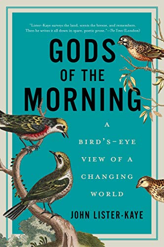 Imagen de archivo de Gods of the Morning: A Bird's-Eye View of a Changing World a la venta por Michael Patrick McCarty, Bookseller