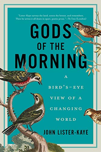 Stock image for Gods of the Morning: A Bird's-Eye View of a Changing World for sale by Michael Patrick McCarty, Bookseller