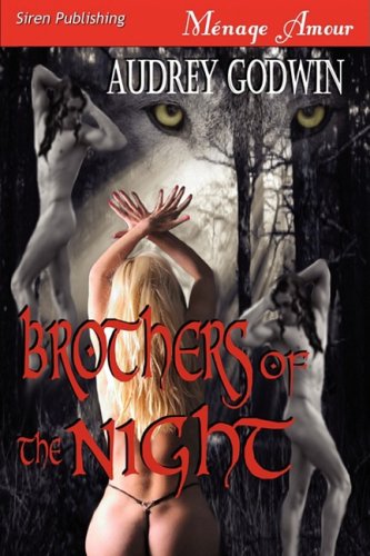 Stock image for Brothers of the Night for sale by Bookmans