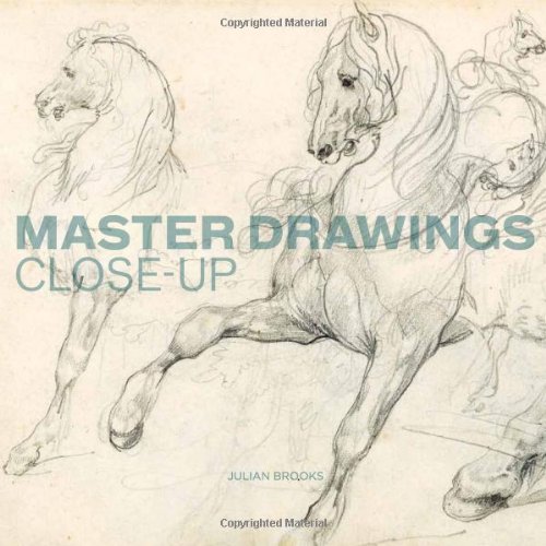 9781606060193: Master Drawings Close-Up