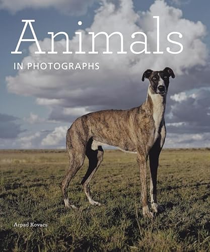 Beispielbild fr Animals in Photographs zum Verkauf von Better World Books