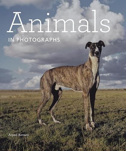Stock image for Animals in Photographs for sale by Better World Books: West