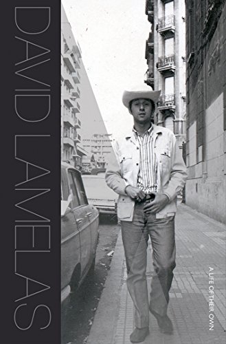 Imagen de archivo de David Lamelas: A Life of Their Own a la venta por Moe's Books