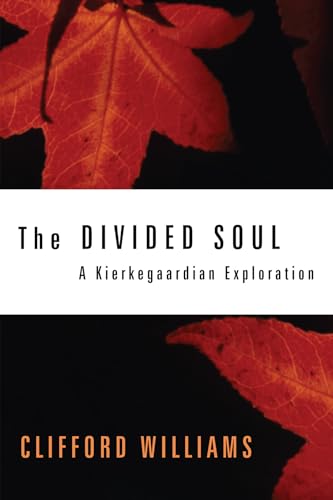 Beispielbild fr The Divided Soul: A Kierkegaardian Exploration zum Verkauf von Windows Booksellers