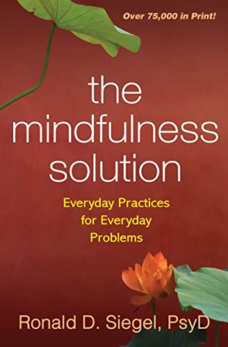 Beispielbild fr The Mindfulness Solution: Everyday Practices for Everyday Problems zum Verkauf von SecondSale