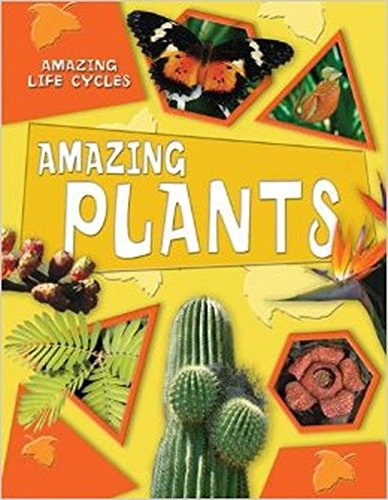 9781606260067: Amazing Plants (Amazing Life Cycles)