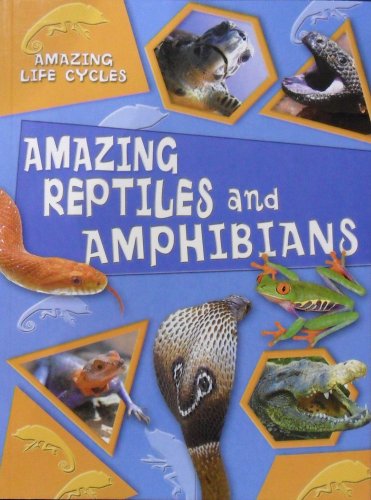 Beispielbild fr Amazing Reptiles and Amphibians (Amazing Life Cycles) zum Verkauf von Wonder Book