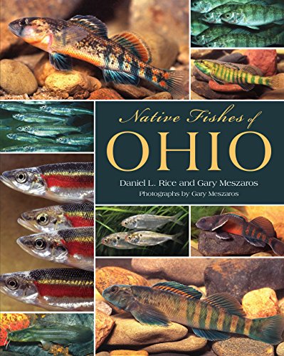 Beispielbild fr Native Fishes of Ohio zum Verkauf von HPB-Diamond