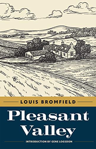 Stock image for Pleasant Valley for sale by GreatBookPrices