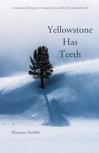 Stock image for Yellowstone Has Teeth: A Memoir of Living in Yellowstone for sale by Goodwill