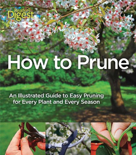 Stock image for How to Prune: An Illustrated Guide to Easy Pruning for Every Plant and Every Season for sale by Campbell Bookstore