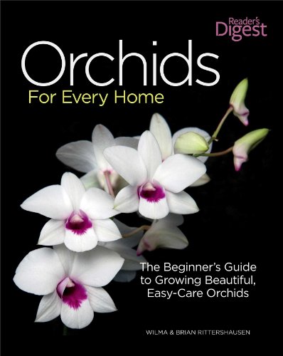 Stock image for Orchids for Every Home: The Beginner's Guide to Growing Beautiful, Easy-Care Orchids for sale by OwlsBooks
