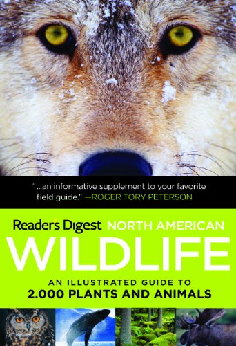 Stock image for North American Wildlife: An Illustrated Guide to 2,000 Plants and Animals for sale by Save With Sam