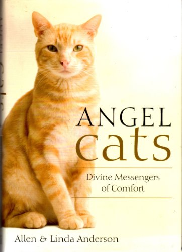 Beispielbild fr Angel Cats: Divine Messengers of Comfort zum Verkauf von Your Online Bookstore