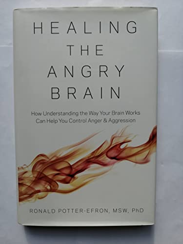 Imagen de archivo de Healing the Angry Brain How Understanding the Way Your Brain Works Can Help You Control Anger and Aggression a la venta por ZBK Books