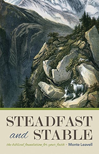 9781606829356: Steadfast and Stable: The Biblical Foundation for Your Faith