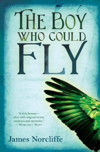 The Boy Who Could Fly (9781606840849) by Norcliffe, James