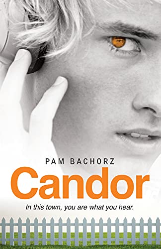 Stock image for Candor for sale by Gulf Coast Books