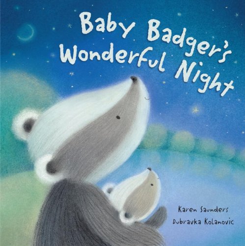 Beispielbild fr Baby Badger's Wonderful Night zum Verkauf von Front Cover Books