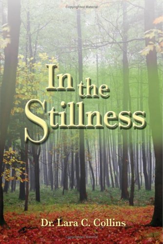 Imagen de archivo de In the Stillness a la venta por Irish Booksellers