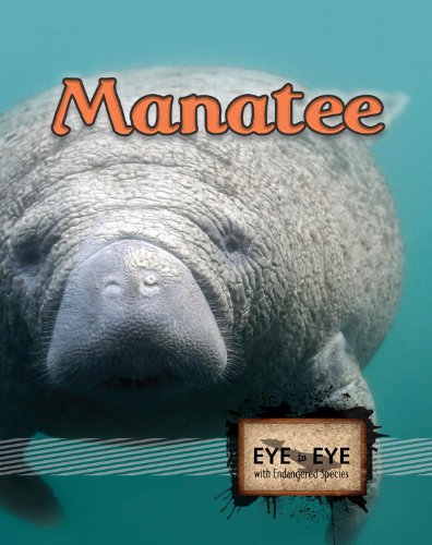 9781606944035: Manatees (Eye to Eye With Endangered Species)
