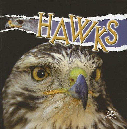 Beispielbild fr Hawks (Raptors) zum Verkauf von Wonder Book