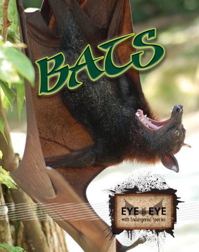 Beispielbild fr Bats (Eye To Eye With Endangered Species) zum Verkauf von SecondSale