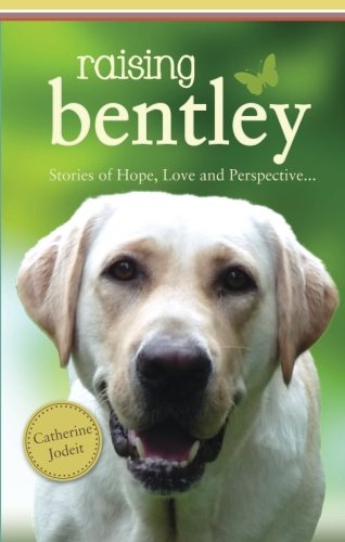 Beispielbild fr Raising Bentley : Stories of Hope, Love, and Perspective zum Verkauf von Better World Books