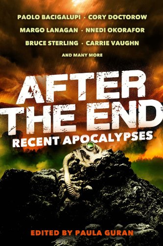 9781607013907: After the End: Recent Apocalypses